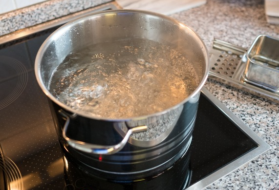 날파리 없애는 방법