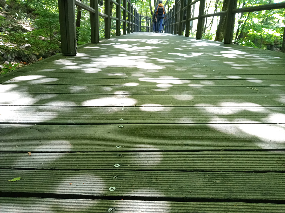 이마트24 등산챌린지