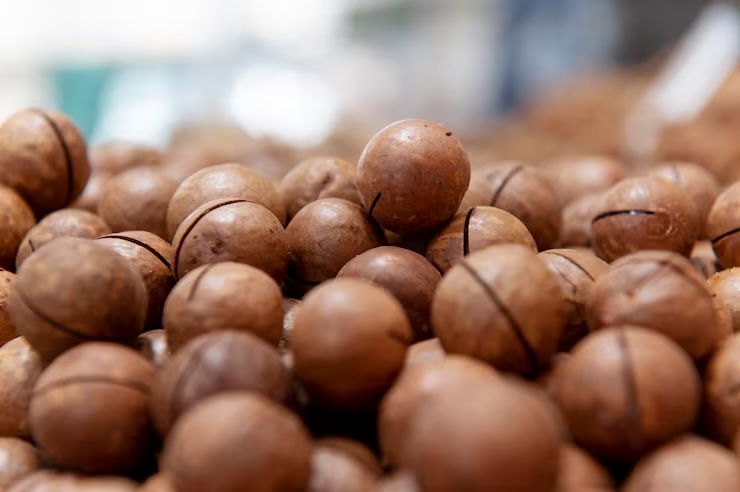 마카다미아의 효능