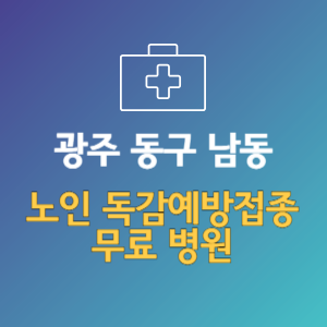 광주 동구 남동 노인 독감예방접종 무료 병원 (인플루엔자 무료 접종 대상 날짜)