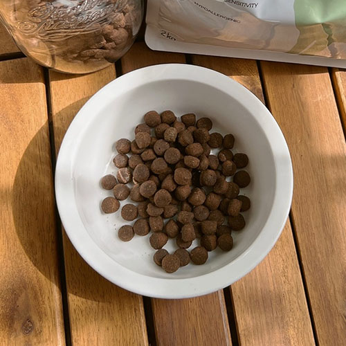 엔토벳-인섹트-사료