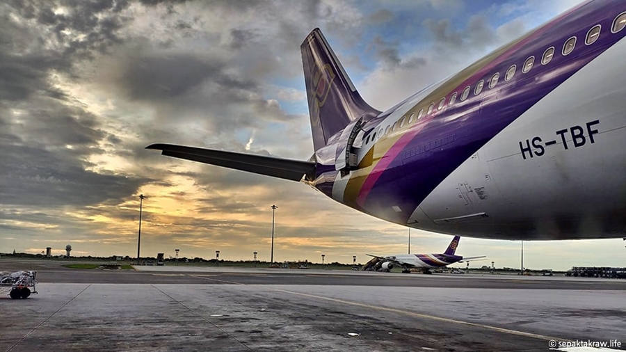 타이항공수화물