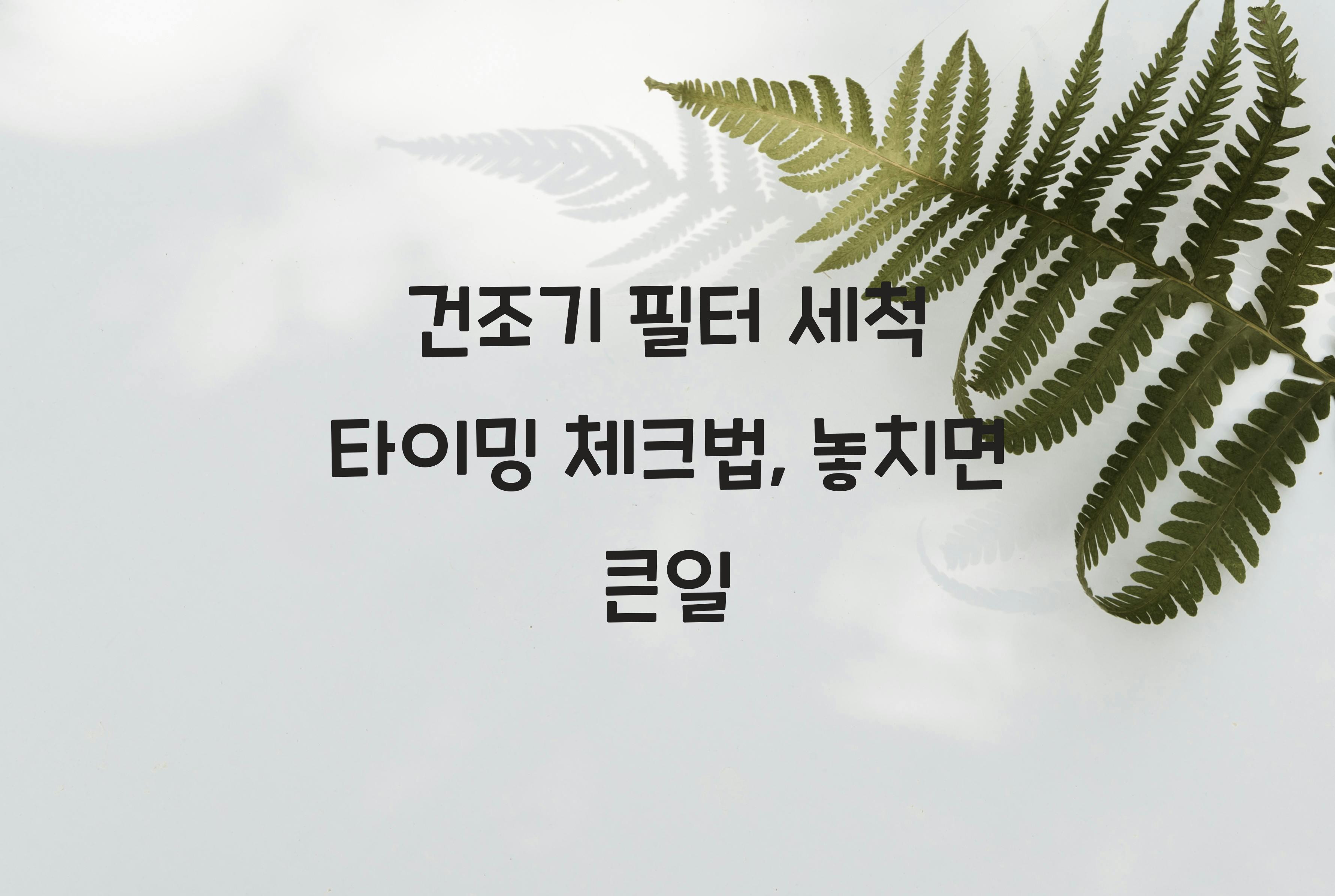 건조기 필터 세척 타이밍 체크법