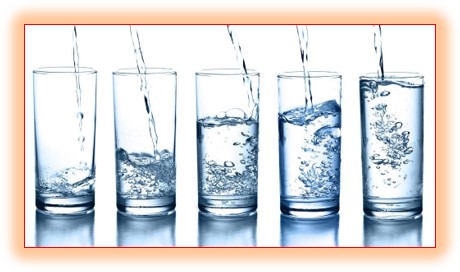 마이크로바이옴