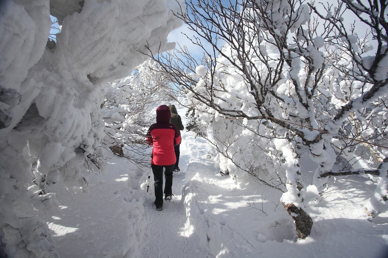 한라산 탐방로예약