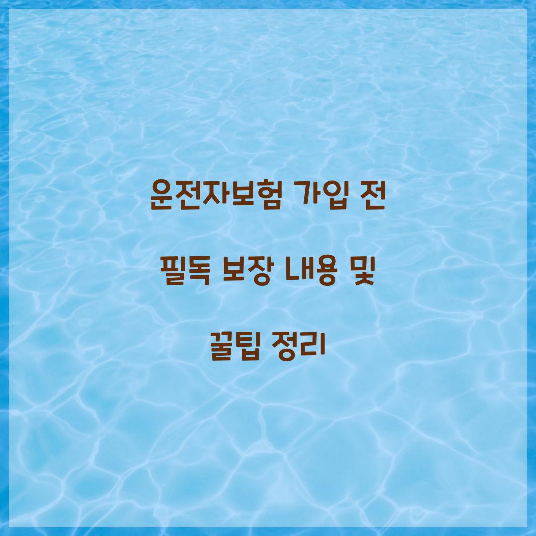운전자보험 가입 전 필독