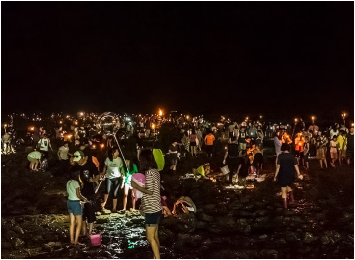 2025년 무창포 쭈꾸미 도다리 대잔치 신비의 바닷길 갯벌 체험 사진