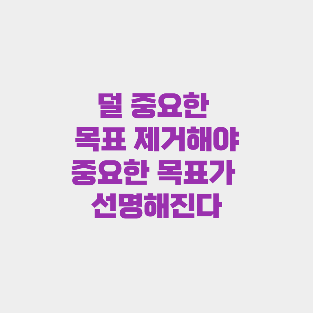 덜 중요한 목표를 제거해야 중요한 목표를 달성한다