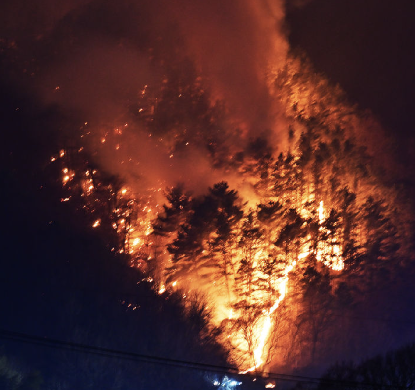 2025년 대한민국 산불 피해