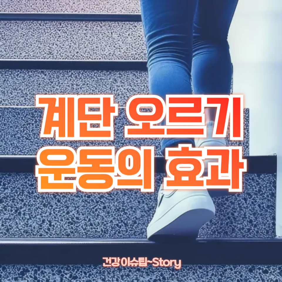 계단 오르기 운동의 효과