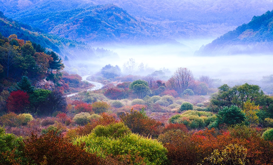 힐링 여행 추천지, 스트레스 해소 100% 되는 국내 명소 TOP7