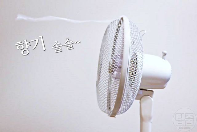 선풍기 청소법, 리빙, 팁줌