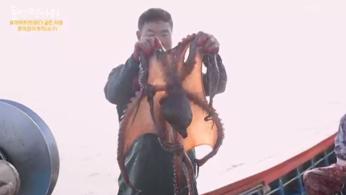 삼척 문어의 특별한 가치