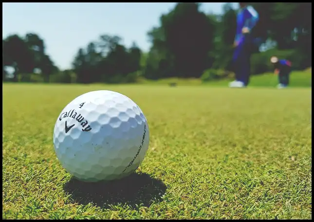 파크골프 경기규칙 (+ ob처치 방법 )