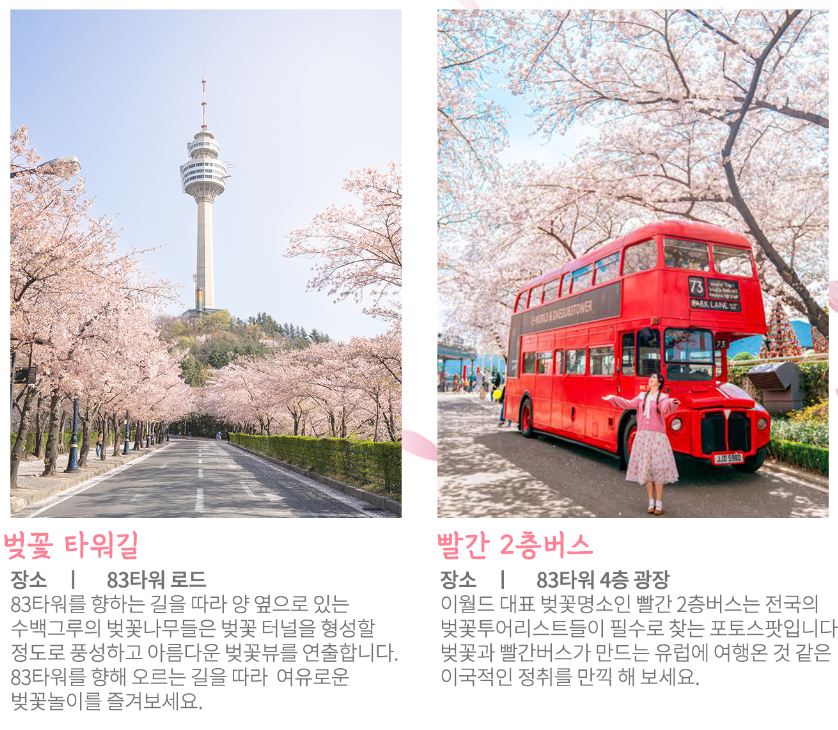 대구-이월드-벚꽃축제