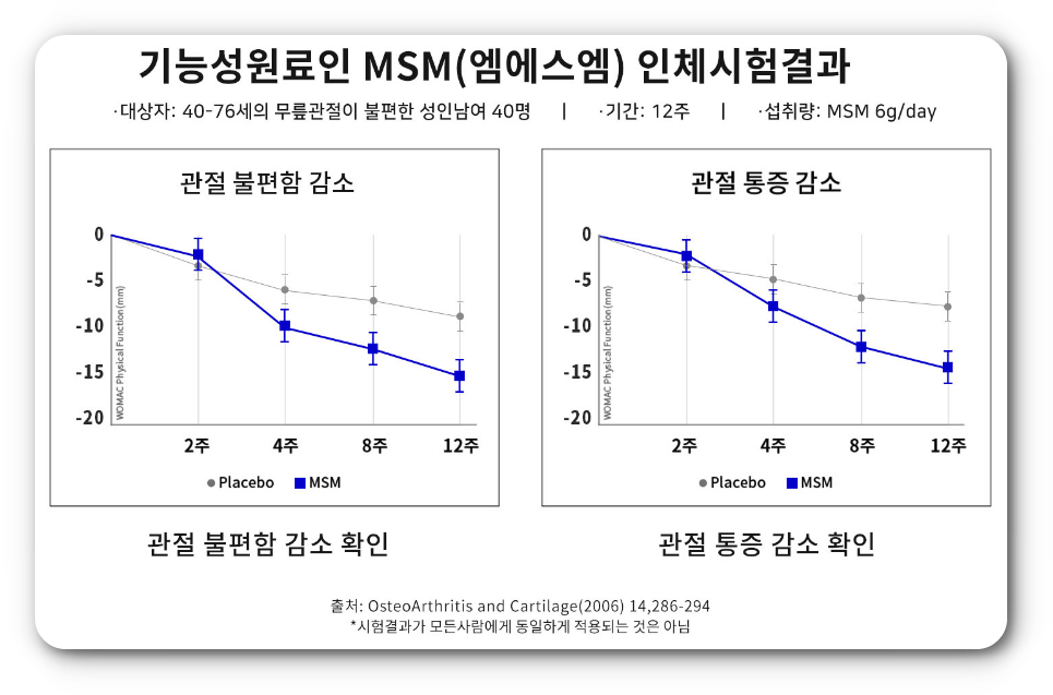 msm의 효능