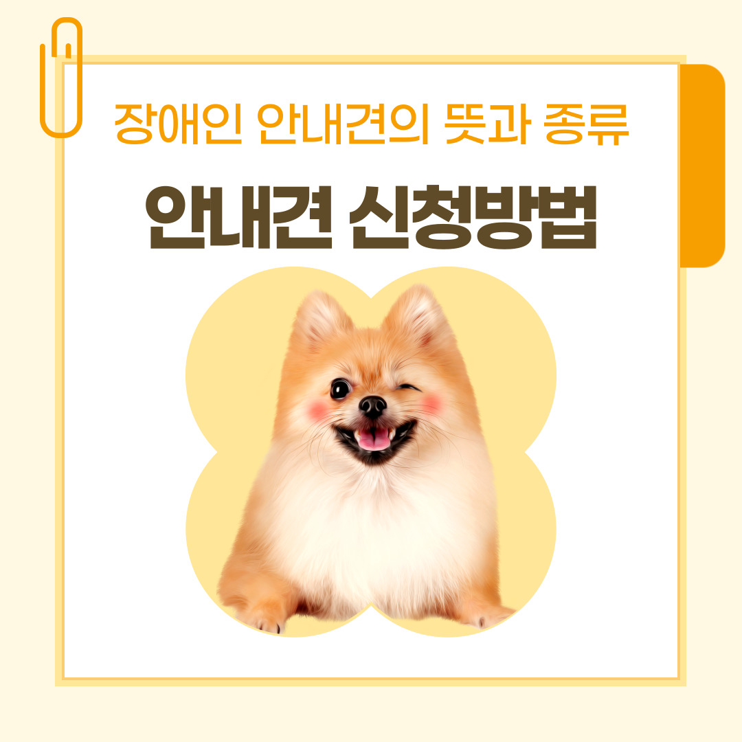 장애인 안내견의 뜻과 종류 안내견 신청방법