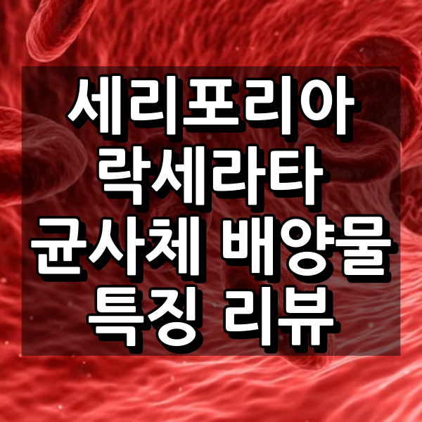 세리포리아 락세라타 균사체 배양물 대표 이미지