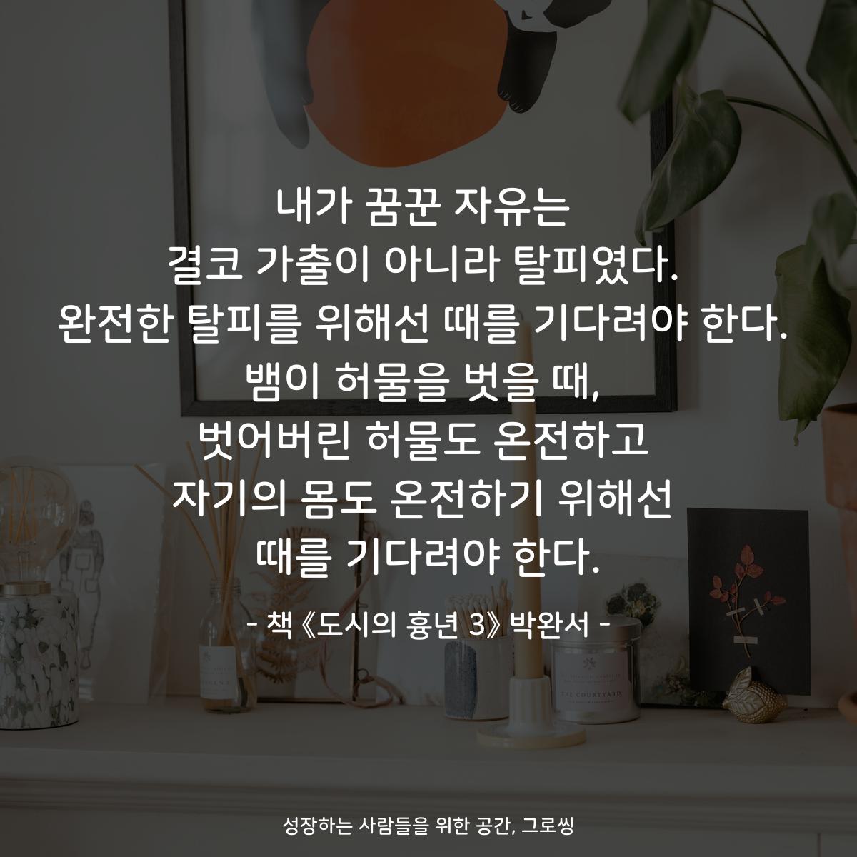 내가 꿈꾼 자유는
결코 가출이 아니라 탈피였다.
완전한 탈피를 위해선 때를 기다려야 한다.
뱀이 허물을 벗을 때,
벗어버린 허물도 온전하고
자기의 몸도 온전하기 위해선
때를 기다려야 한다.