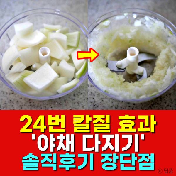 야채다지기 후기 사용기 장단점,야채다지기추천,팁줌