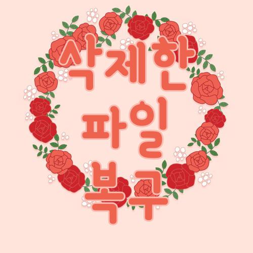 삭제한 파일 복구