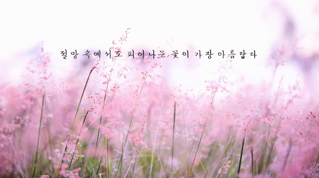 힘들때 읽으면 눈물나는 명언 50가지