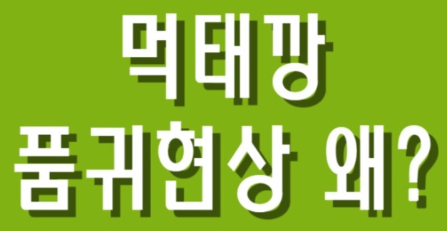 먹태깡-청양마요