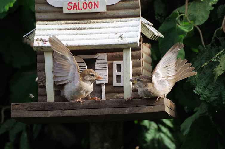 대리운전 사고 책임 범위와 보험 처리 가이드