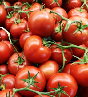 토마토 효능 부작용 고르는법 칼로리