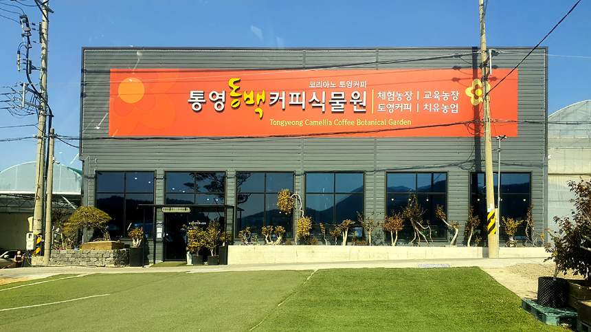 특색있고 아름다운 민간 정원 30선 추천 여행 - 25. 통영 동백커피식물원
