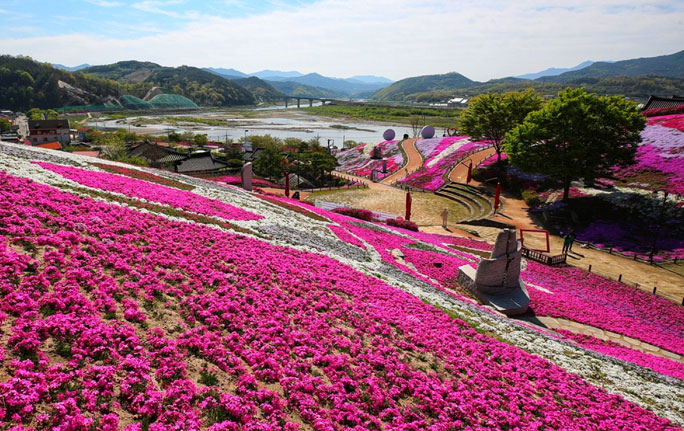 산청 생초국제조각공원 잔디