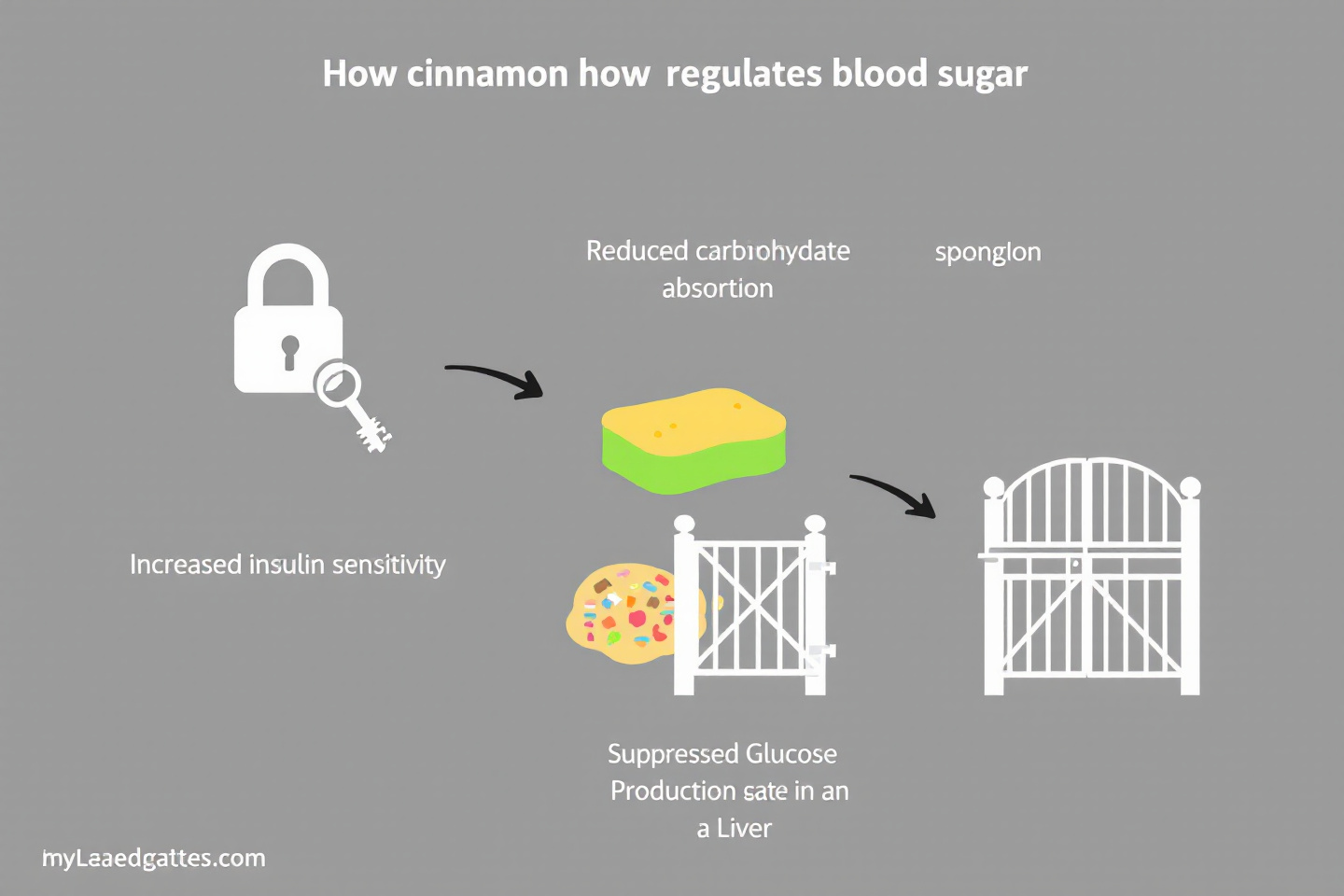 계피의 혈당 조절 기전을 나타내는 다이어그램: 인슐린 감수성 증가, 탄수화물 흡수 감소, 간에서 당 생성 억제 등"