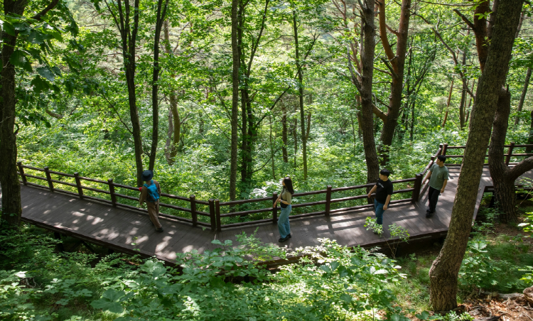 국립산림치유원