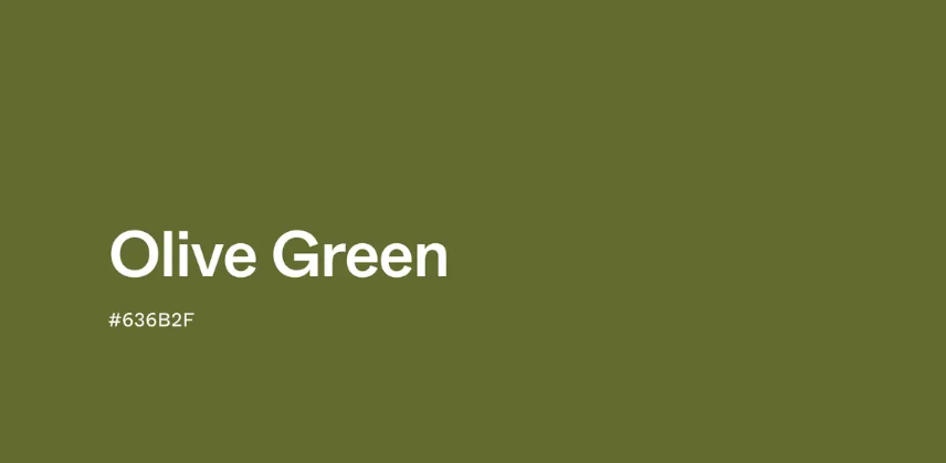 초록색(green) 계열의 색상 종류처럼 색과 아이템을 연결해 전체 착장을 정돈한 코디입니다.