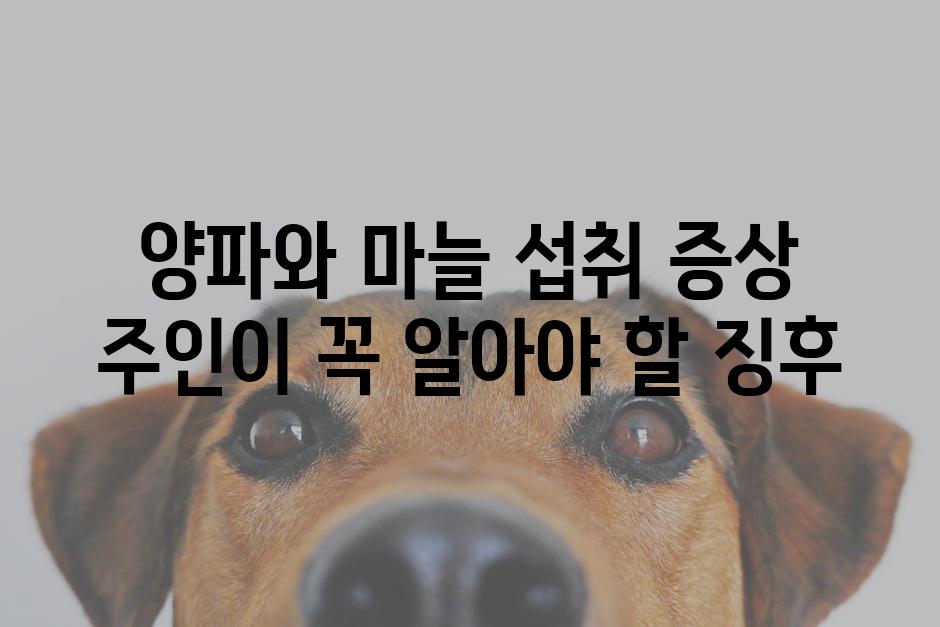 양파와 마늘 섭취 증상 주인이 꼭 알아야 할 징후