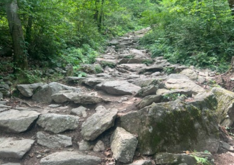 청계산 등산코스