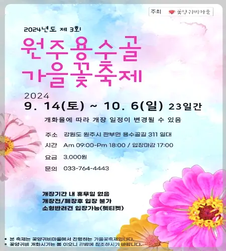 원주 용수골 가을꽃축제_1