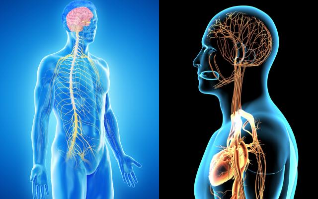 신경 눌림 저림 통증