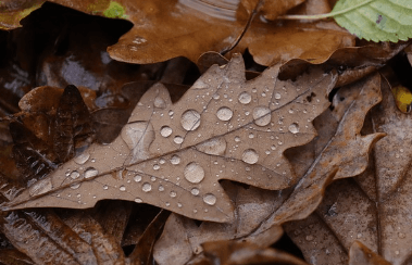 9월 인사말 모음집