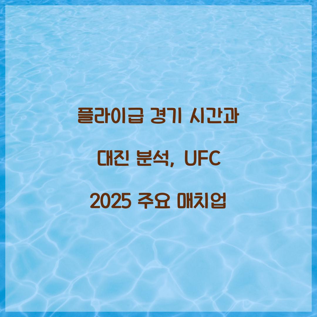 플라이급 경기 시간