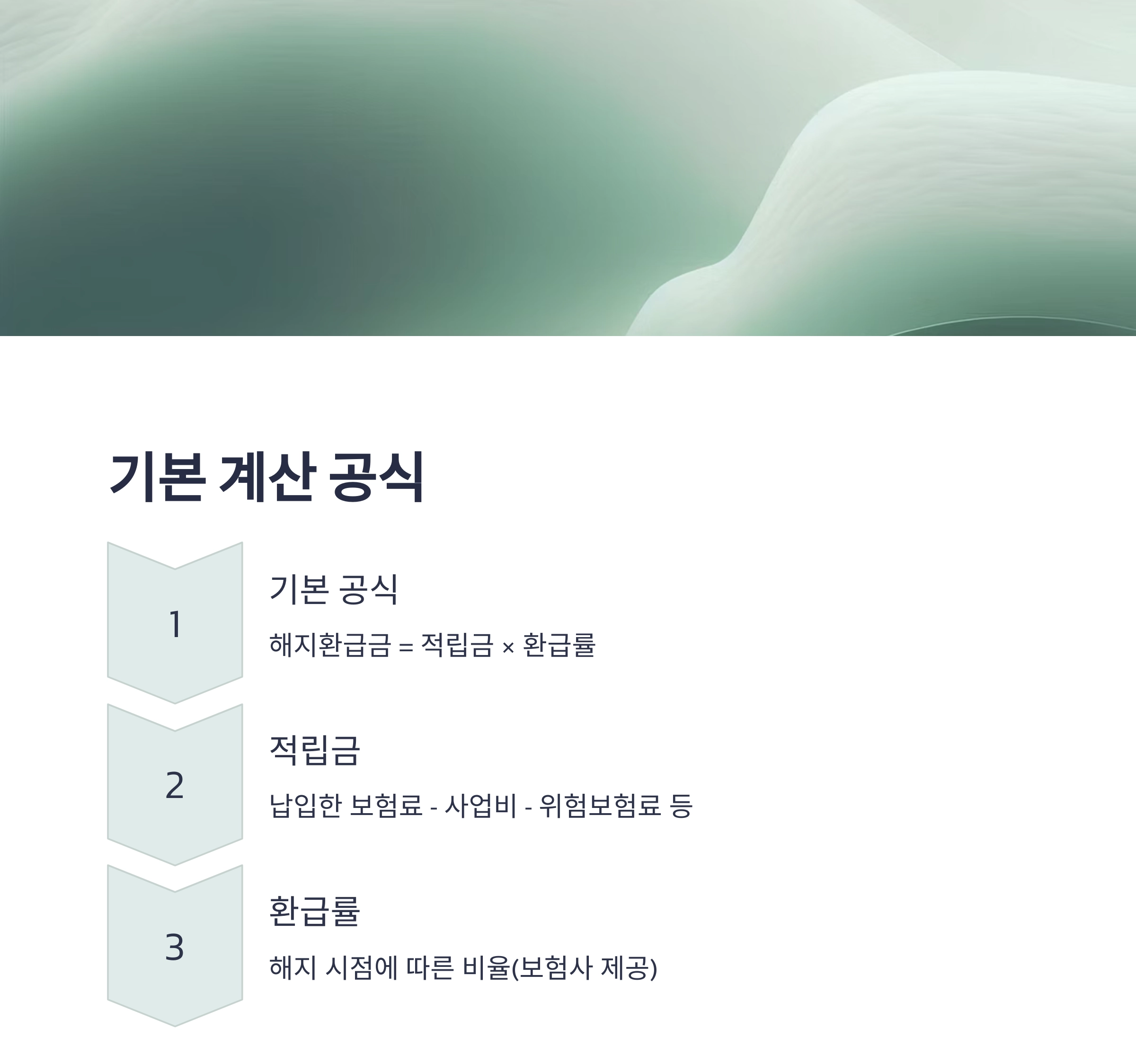 장기저축보험 해지환급금, 제대로 계산하는 법 총정리