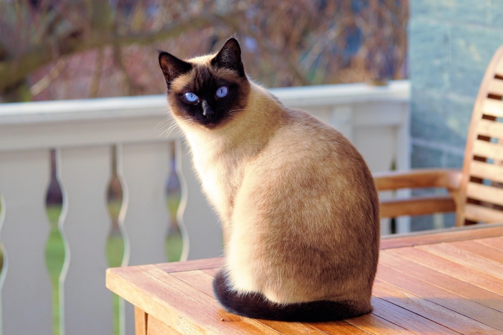 외향(E) vs 내향(I) – 첫 반응이 포인트