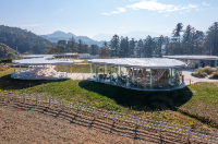 아이와 가평 가볼만한곳 추천 가평양떼목장