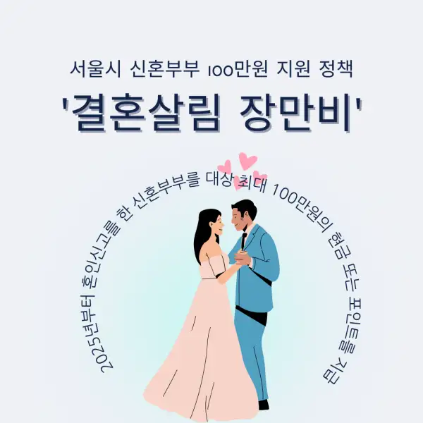 결혼살림 장만비