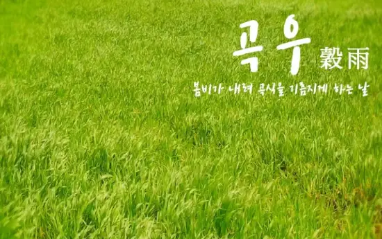 곡우-24절기-6절기