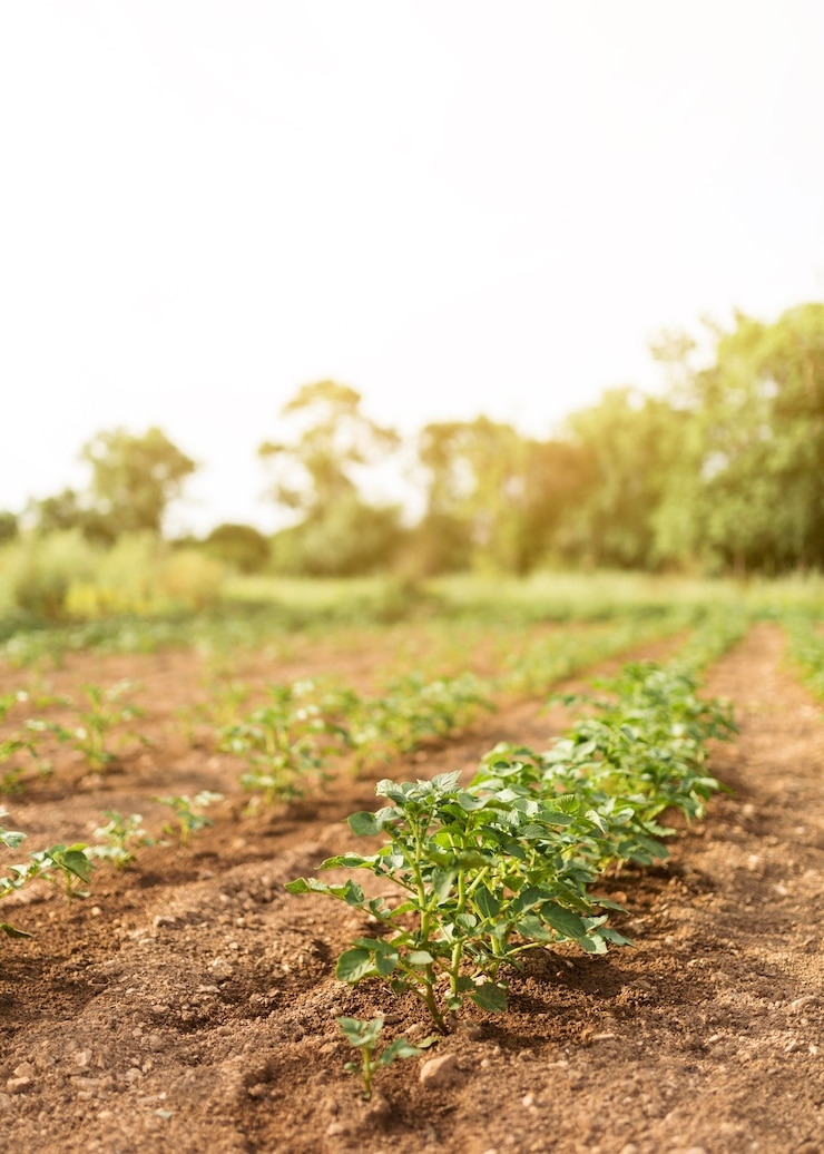 농지취득자격증명 요건
