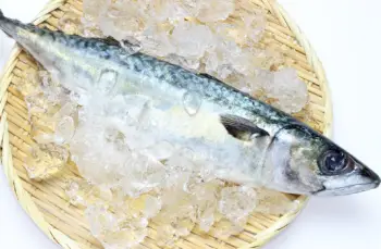 고등어 가격 및 효능, 영양성분과 주의점