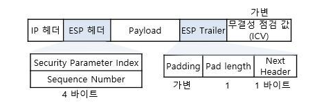 ESP 헤더