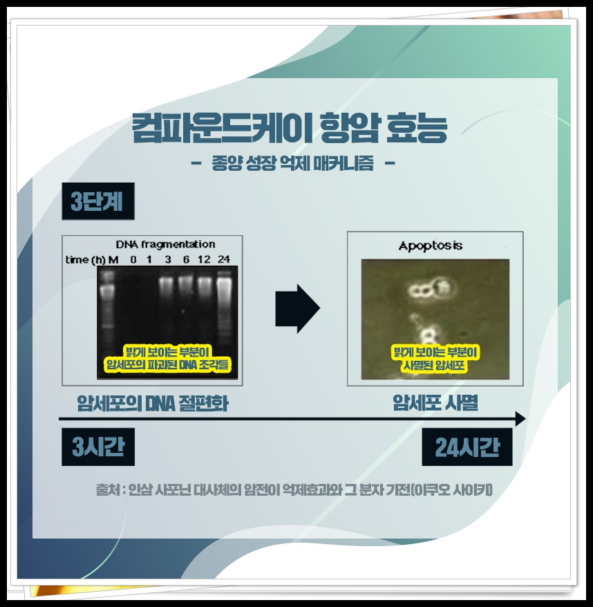 자궁경부암 반응성 세포변화