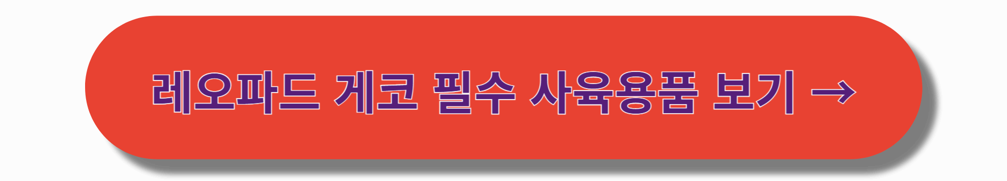 레오파드 게코 건강 체크리스트: 초보자를 위한 필수 관리법